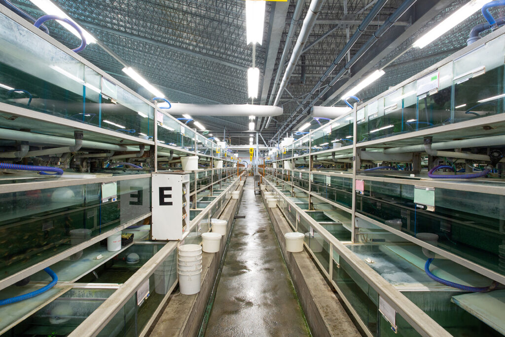 Visiting Ruinemans Aquarium B.V./ Montfoort(蒙特福特)