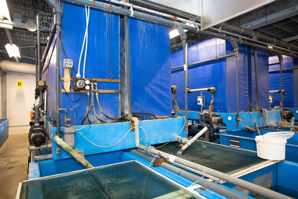 Visiting Ruinemans Aquarium B.V./ Montfoort(蒙特福特)