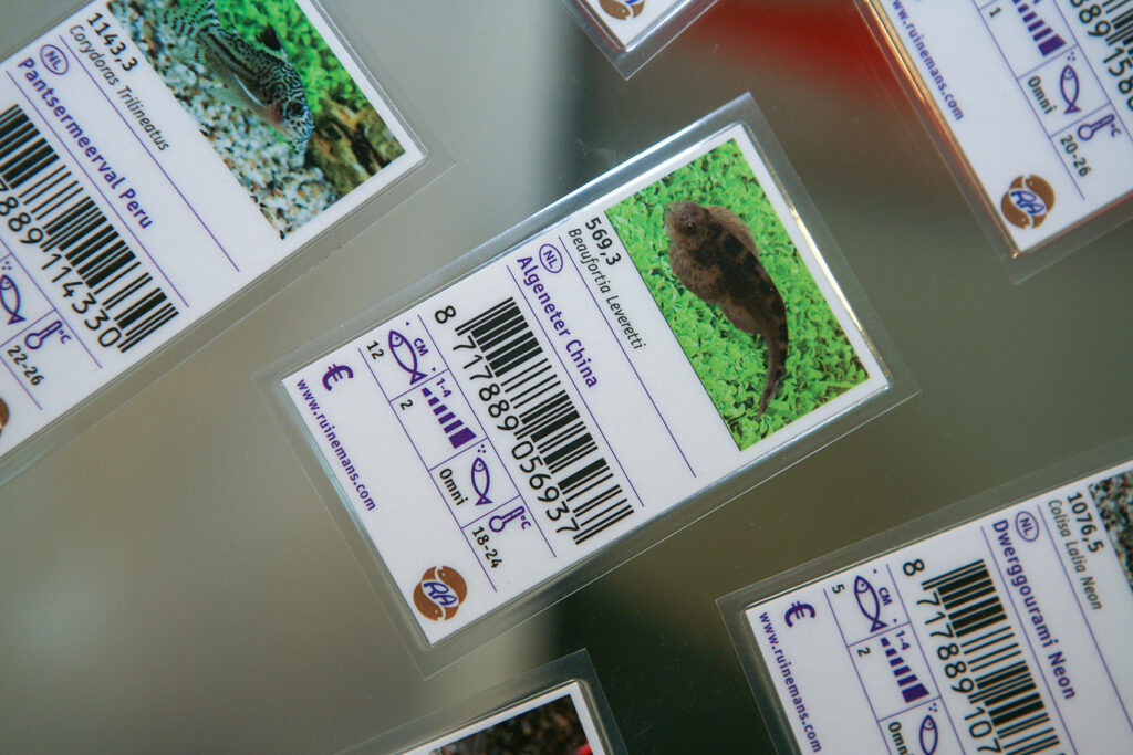 Visiting Ruinemans Aquarium B.V./ Montfoort(蒙特福特)
