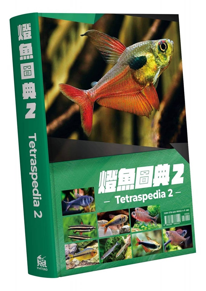 火尾薄荷燈