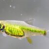 藍色霓虹燈