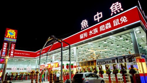 探訪魚中魚楠梓店