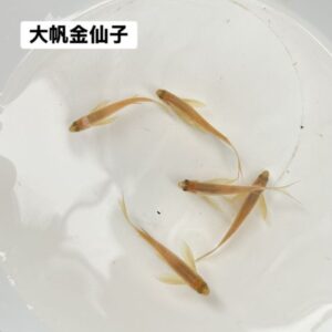 1def05dd9781e554d57215331b489f47.jpg