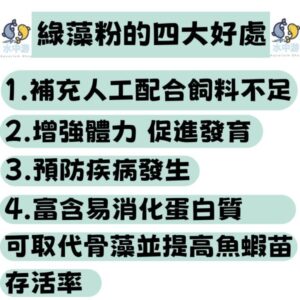 綠藻粉50g