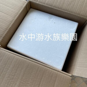 加購保麗龍箱