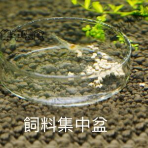 3e1588169f574745662b4ec656a536f9.jpg
