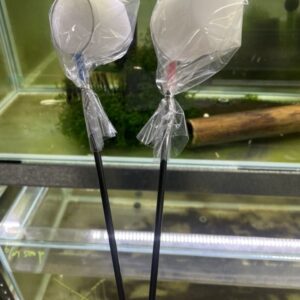 撈網