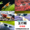 5a5a409b2b526daa3a6280718a9c6025.png