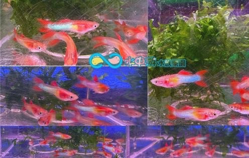 5a93675c3dbe977e11c5de48dae1de7b.jpg 5a93675c3dbe977e11c5de48dae1de7b.jpg