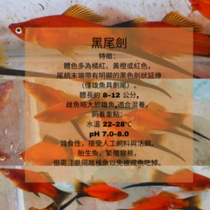 5a983734f472003ef648dd3cc20f2ef0.png