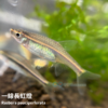 93a85c71e8c03d9adaa445fbc68088d6.png