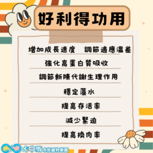 好利得 補體素