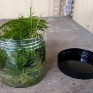 bb67a0ed32d2f199da28f2fd117d3bb0.jpg