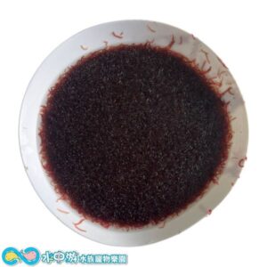 冷凍高蛋白赤蟲(每格3cc) 6入