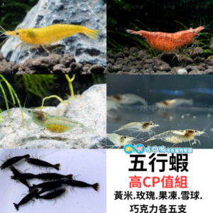 c320a645e1a98d815c7c71589d903a82.png