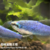c49b2d8592c2658a7364f10facd6fe70.png