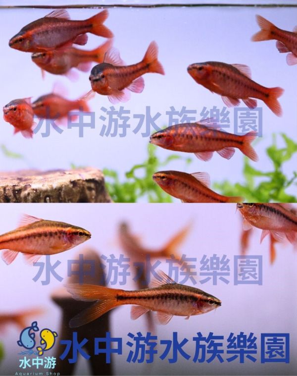 e65951f6e5266e161cf5128526545348.jpg e65951f6e5266e161cf5128526545348.jpg