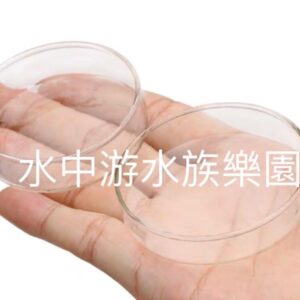 沉底飼料集中盆