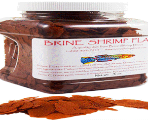 美國Brine Shrimp Direct 低溫乾燥蝦片(1磅/包)